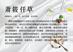 萧莜萱草中药背景