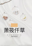 萧莜萱草背景