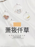 萧莜萱草背景海报