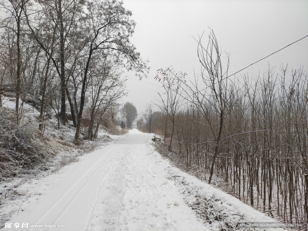 山村道路