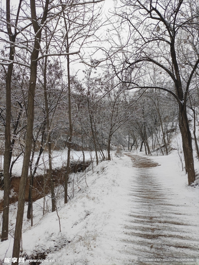 下雪小路