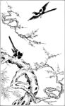花鸟