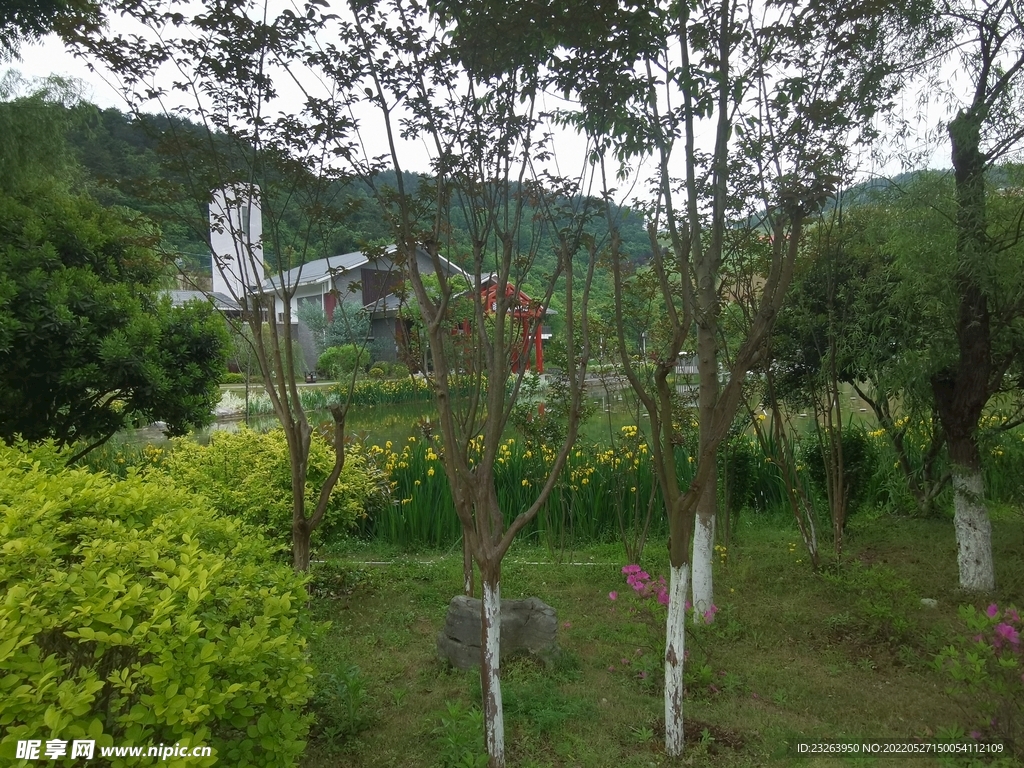 雨后公园风景