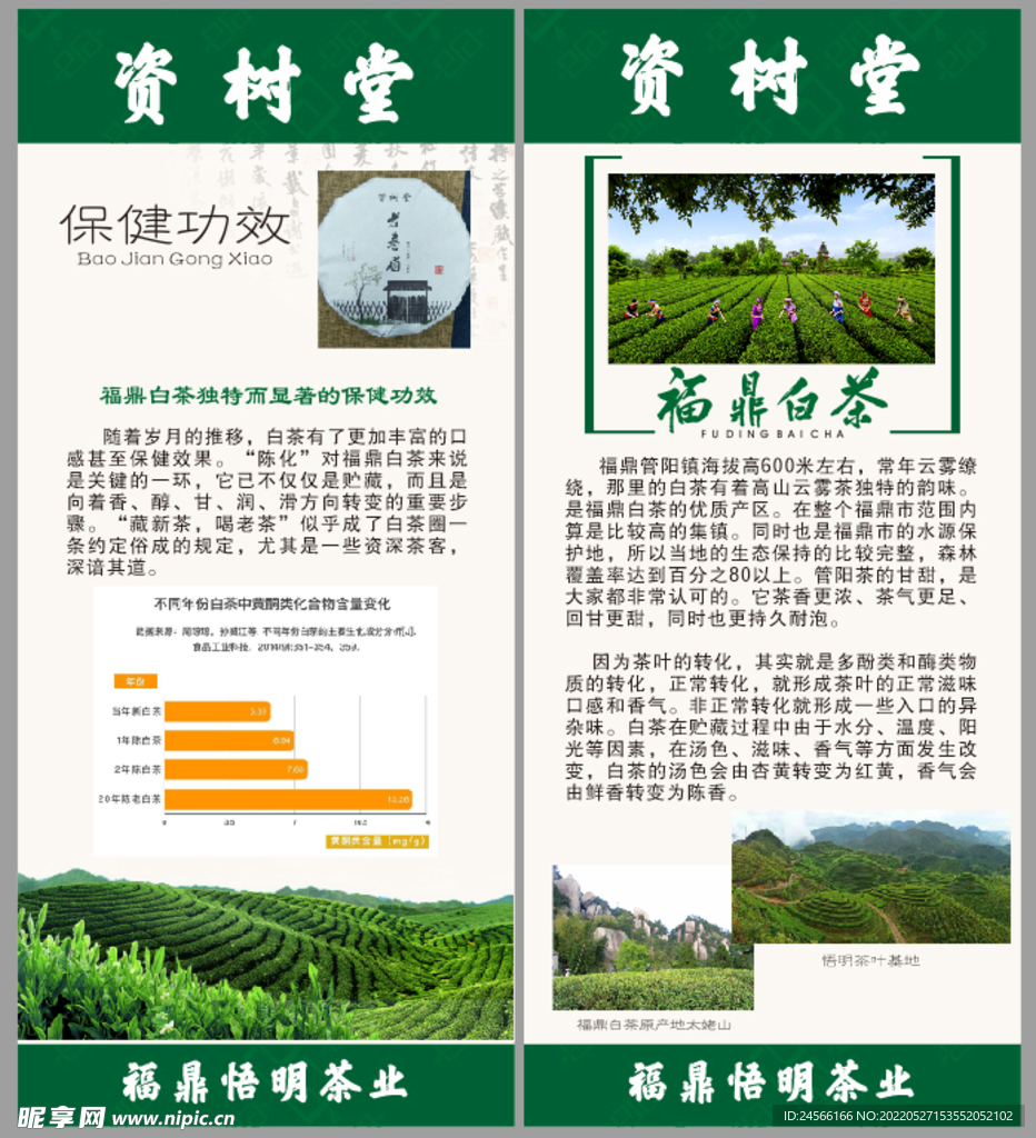 白茶展架