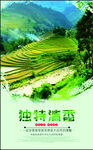茶文化