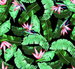 树叶  花