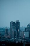 城市