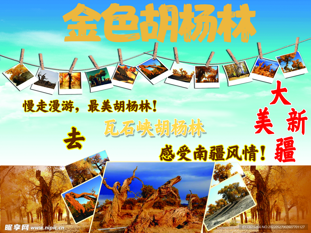 胡杨林