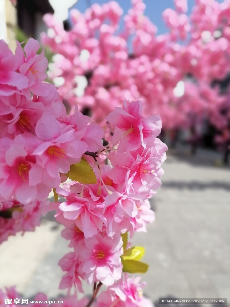繁花似锦
