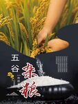 五谷杂粮
