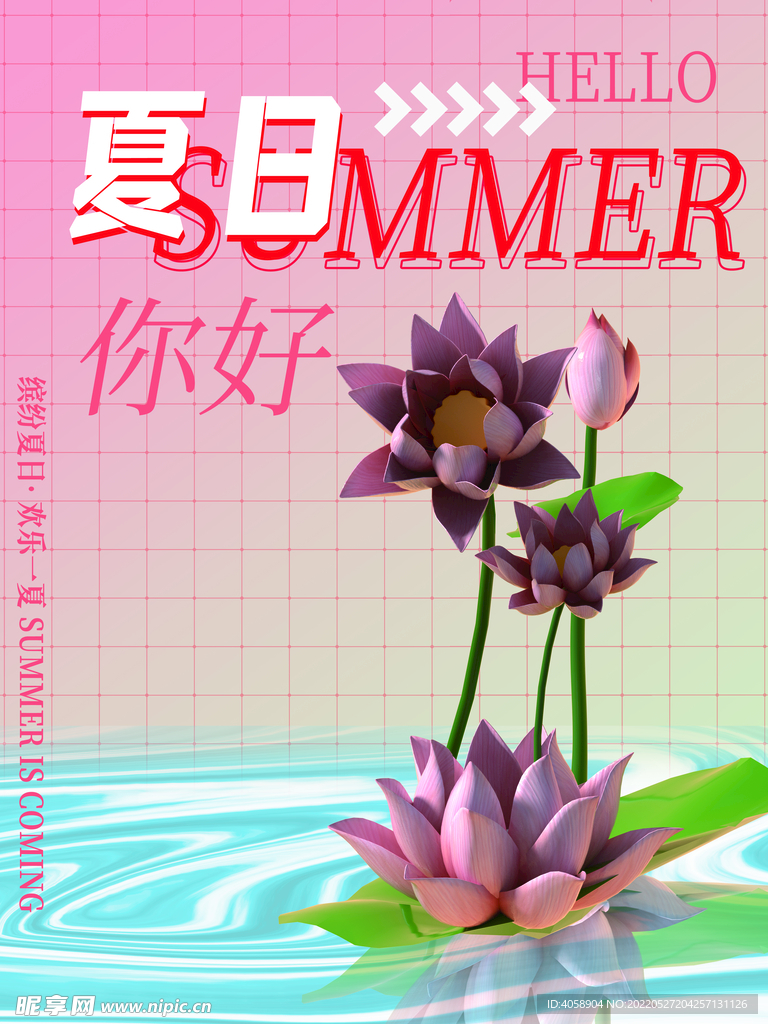 夏日你好