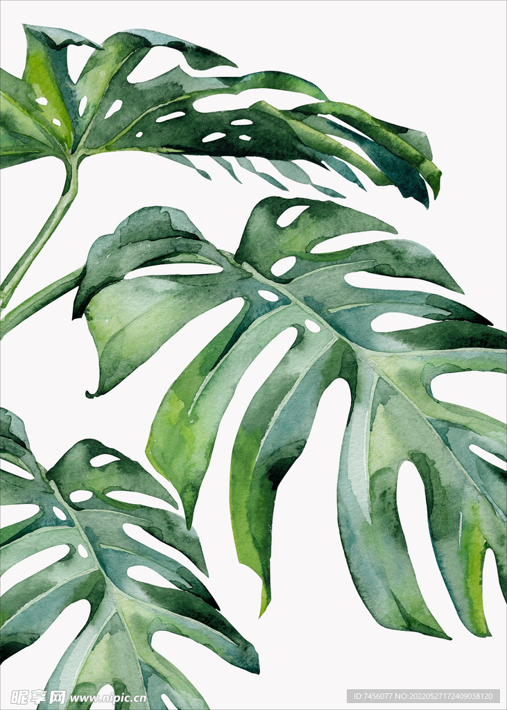 绿叶水彩树叶装饰画挂画