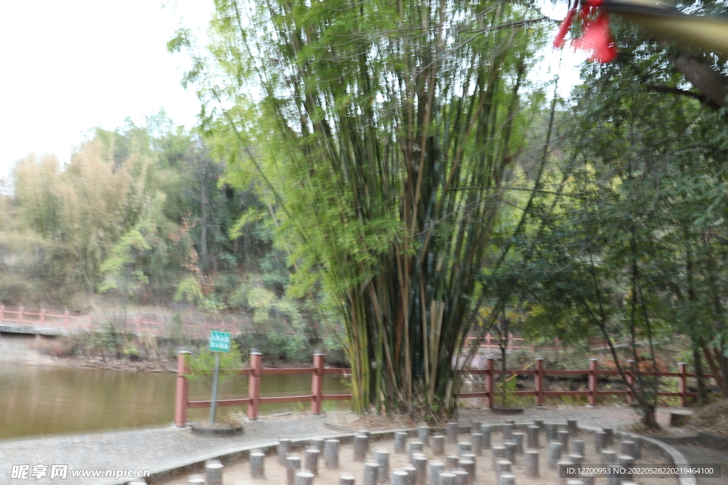 公园一角