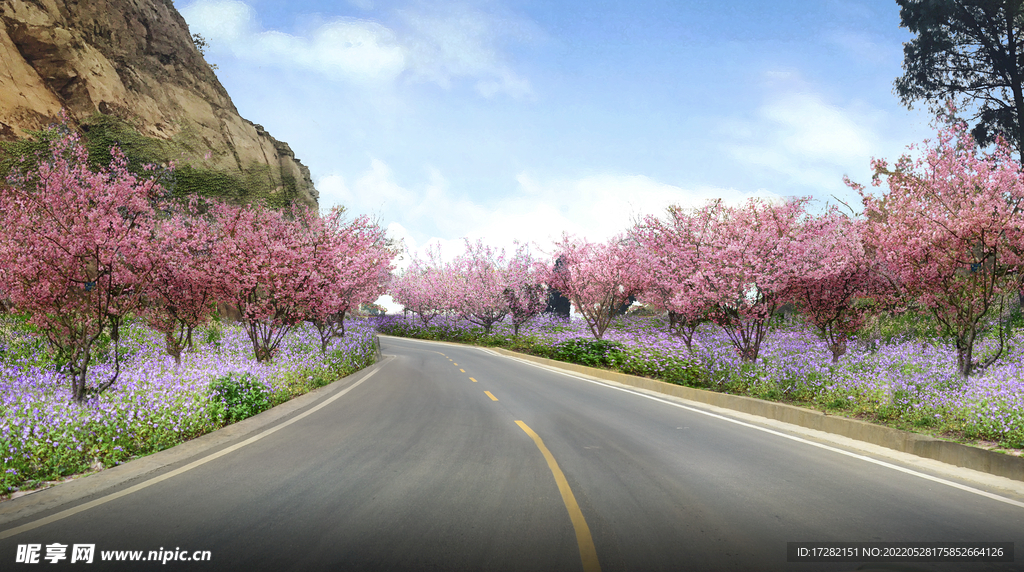 道路设计