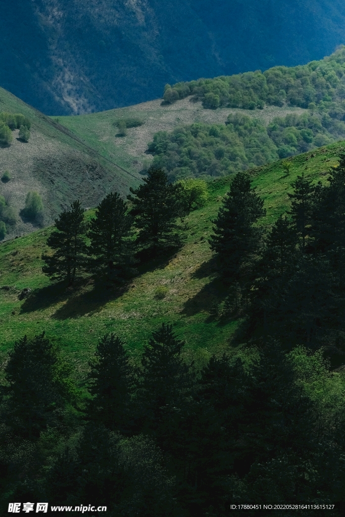 山林
