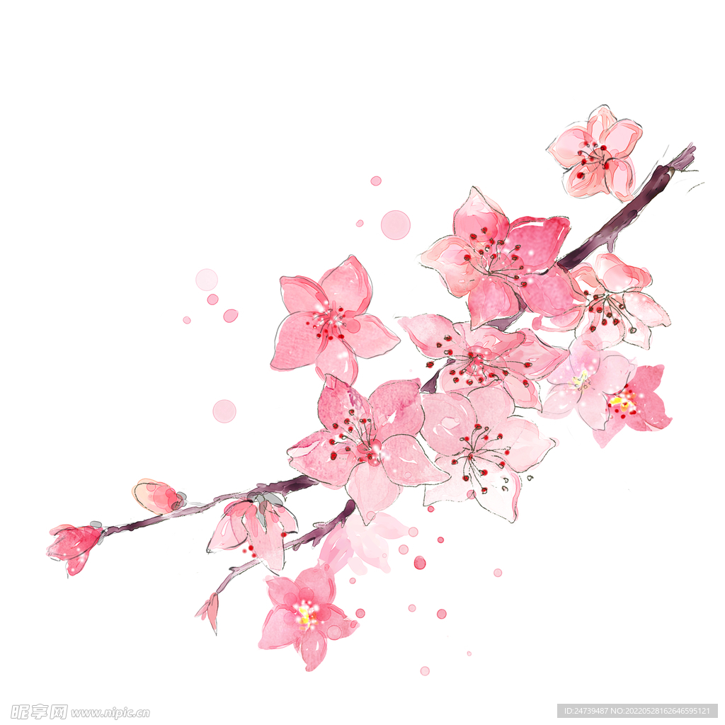 精美桃花树枝图案