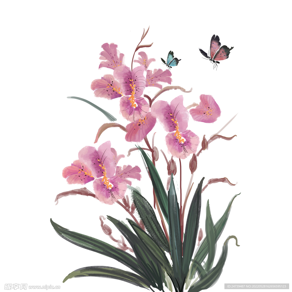 手绘兰花植物和蝴蝶设计