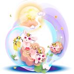 兔子