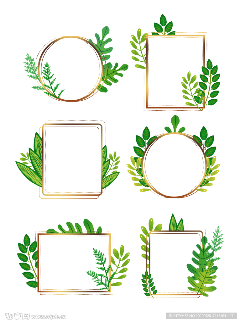 植物叶子边框
