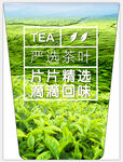 严选茶叶