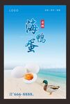 海鸭蛋