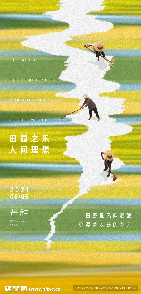 芒种