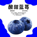酸甜蓝莓
