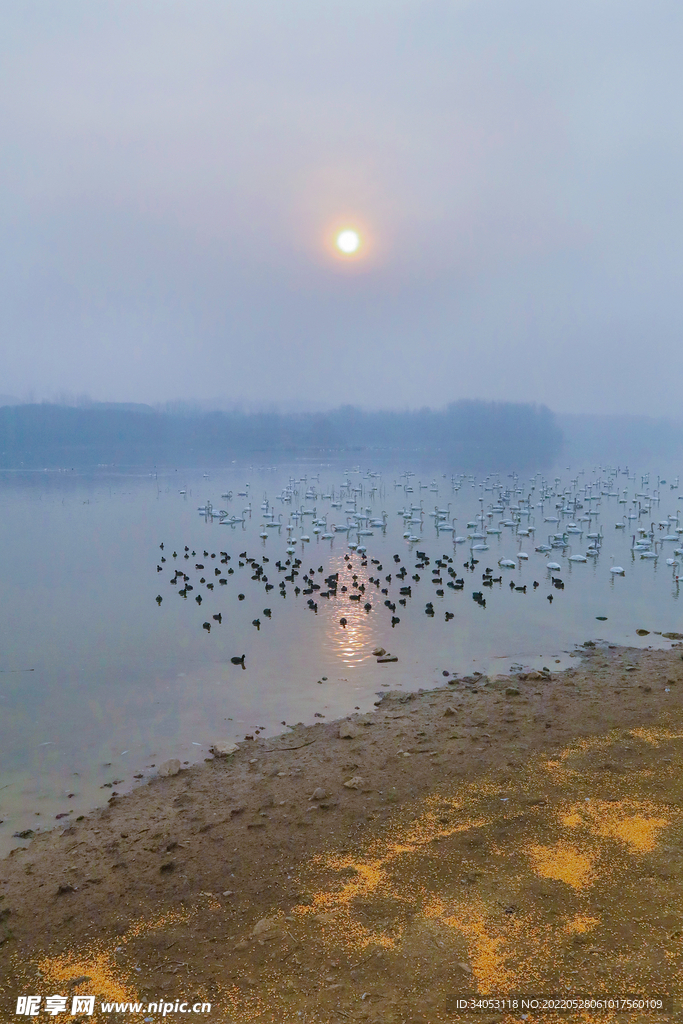 天鹅湖远景