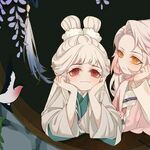 小可爱