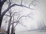 雪