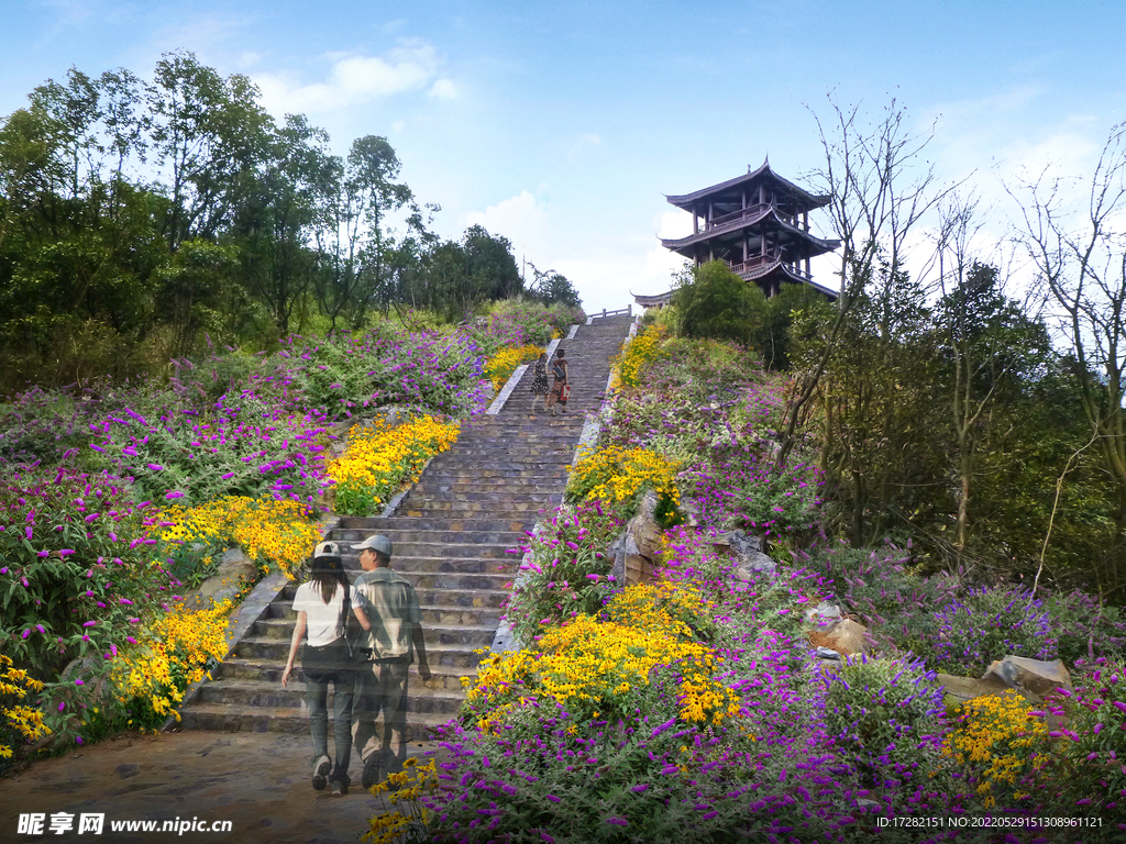 绿化效果图  花海 景观   