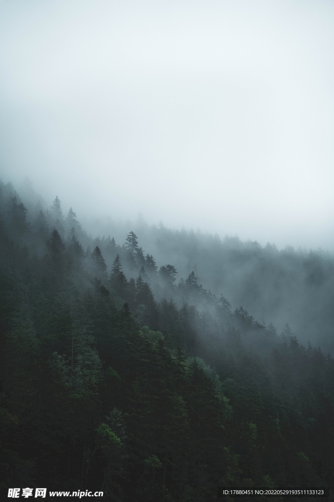 山林