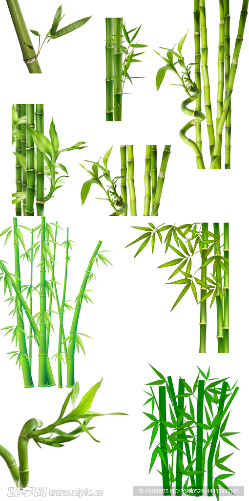 高清免扣竹子素材