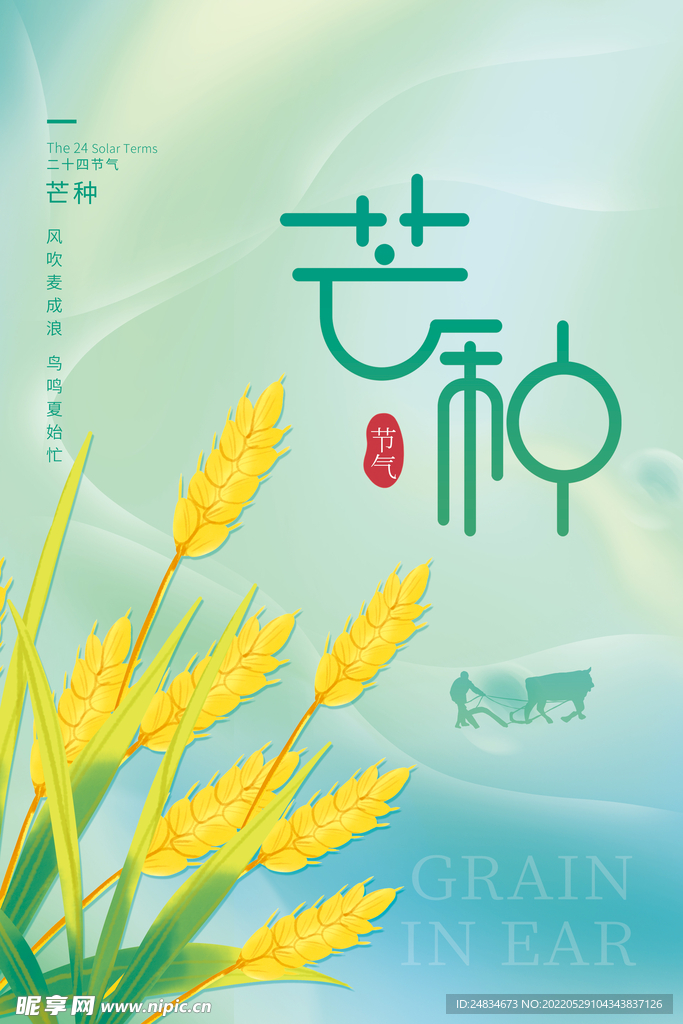 芒种