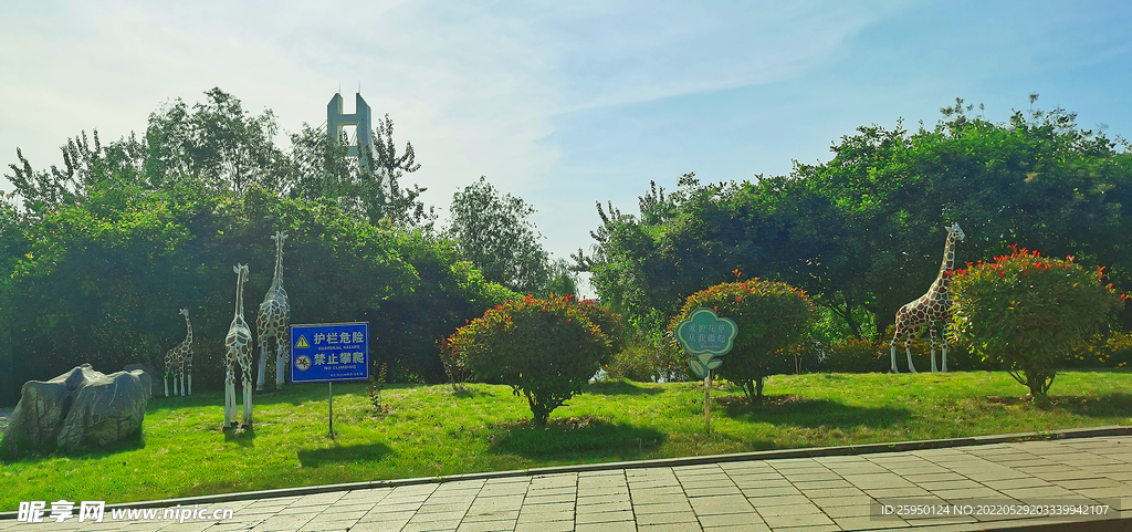路边 公园