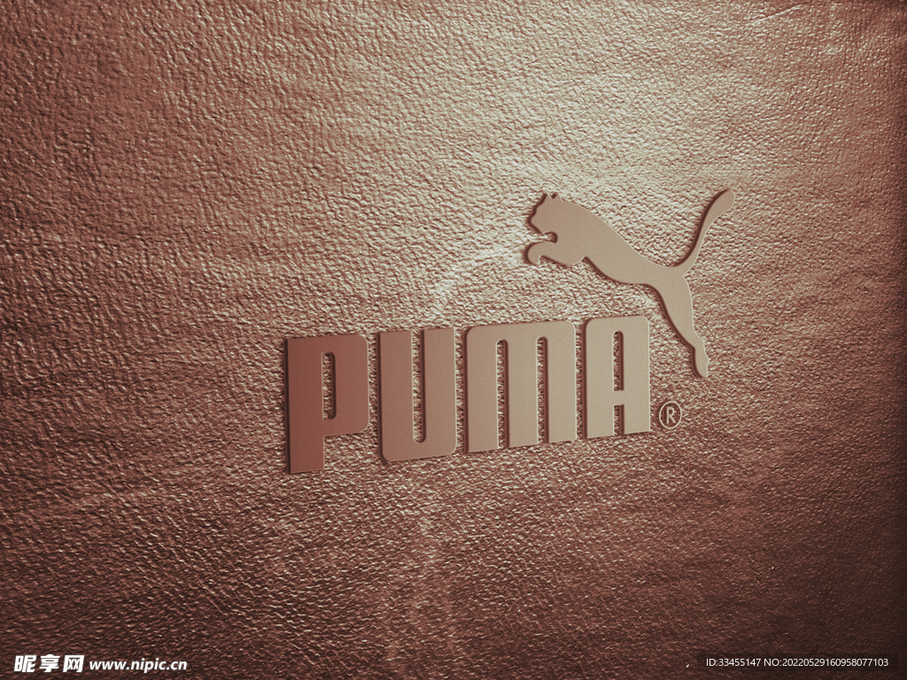 LOGO 样机