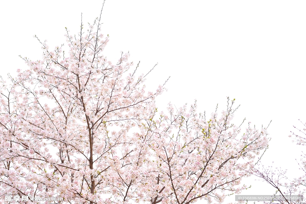 自然景观壁纸