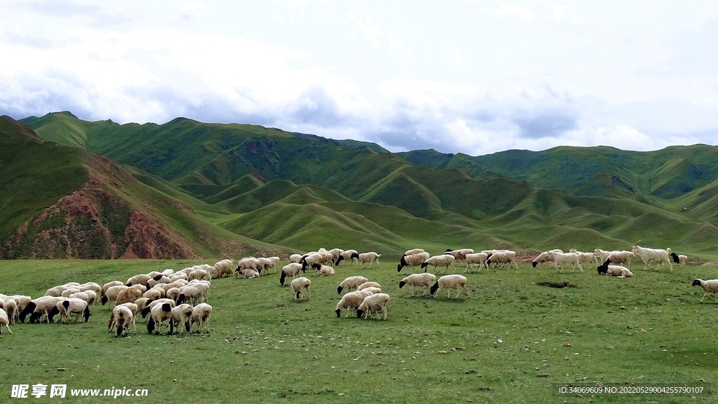 高山牧场