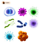 细菌病毒微生物