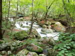 丹东天桥沟山里的小溪水流