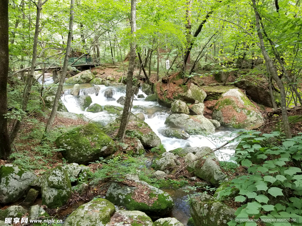 丹东天桥沟山里的小溪水流