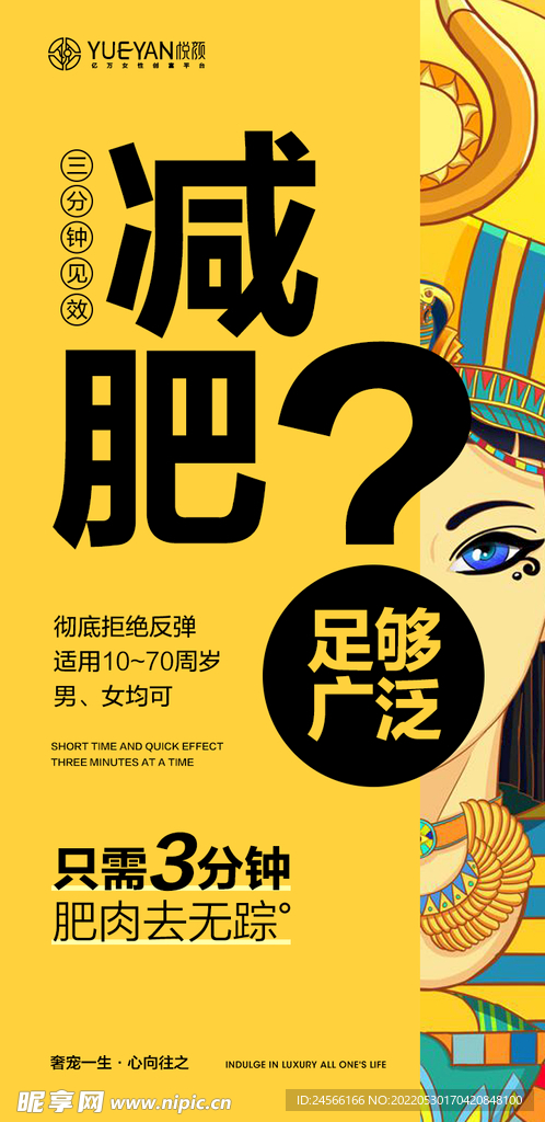 中医  减肥  美容   养生