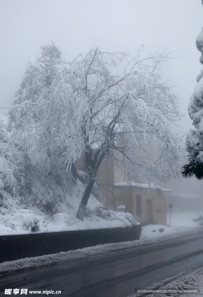 雪街