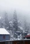 雪中景