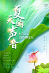 夏天你好