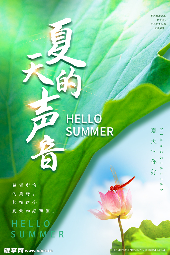 夏天你好