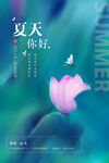 夏天你好
