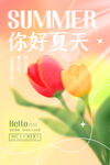 你好夏天