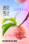 你好夏天