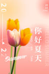 你好夏天